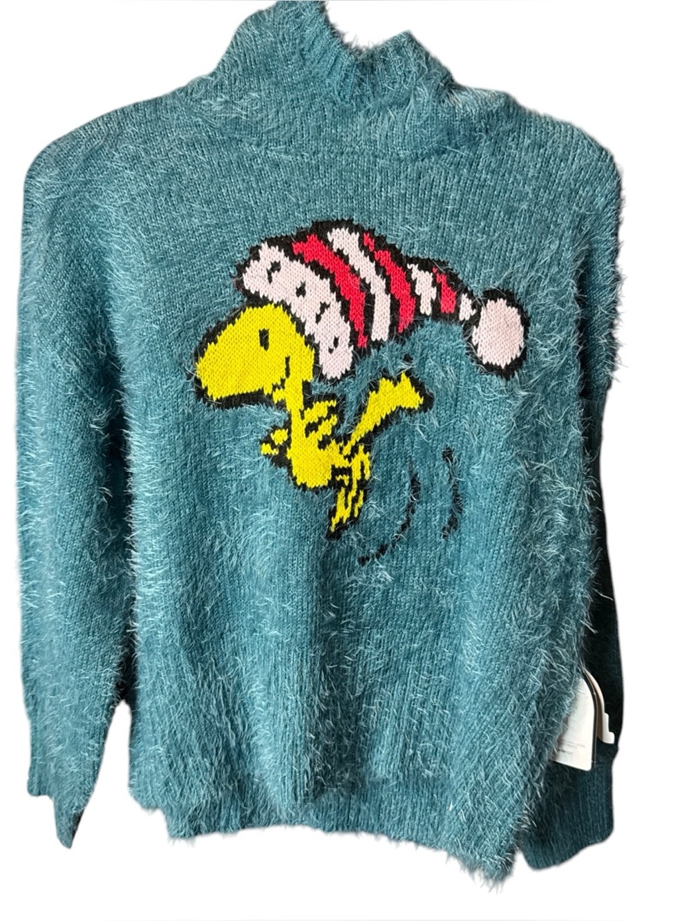 Peanuts Teal Fuzzy Hooded  Sweater with Woodstock 5/6 XS little girls